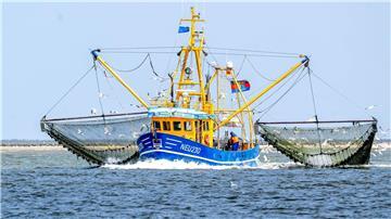 Ein Krabbenkutter ist auf der Nordsee unterwegs.