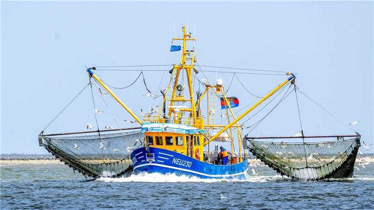 Kammer: Nordseefischer brauchen steigende Fischpreise Ein Krabbenkutter ist auf der Nordsee unterwegs.
