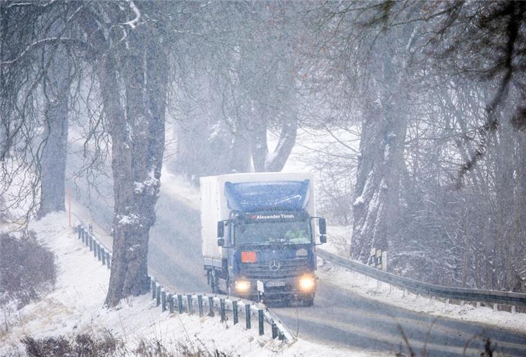 Ein Lastwagen fährt bei dichtem Schneetreiben durch eine Allee. Leichter Schneefall und Temperaturen rund um den Gefrierpunkt können den Verkehr in Norddeutschland auch am Mittwochabend behindern. (Symbolbild)
