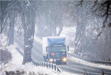 Ein Lastwagen fährt bei dichtem Schneetreiben durch eine Allee. Leichter Schneefall und Temperaturen rund um den Gefrierpunkt können den Verkehr in Norddeutschland auch am Mittwochabend behindern. (Symbolbild)