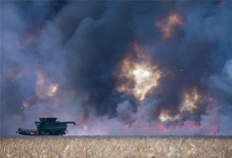 Auf den Cuxland-Feldern ist es brandgefährlich Ein Mähdrescher auf einem Feld, das in Brand geraten ist.