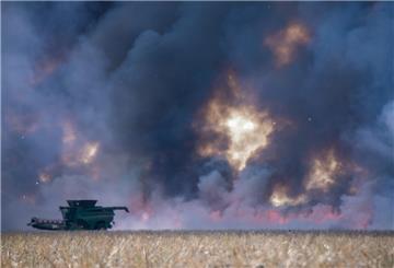 Ein Mähdrescher auf einem Feld, das in Brand geraten ist.