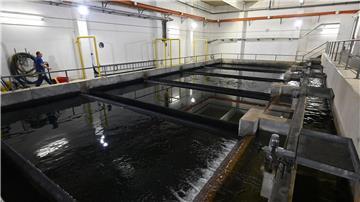 Ein Mitarbeiter geht im Wasserwerk an den Becken der Wasseraufbereitungsanlage vorbei.