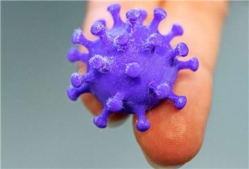 Ein Modell des Corona-Virus liegt auf zwei Fingern.