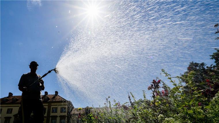 Gartenbesitzer und Landwirte in Sorge – Wann regnet es? Ein neues Bewässerungssystem soll in den Herrenhäuser Gärten künftig helfen, gezielter zu bewässern. (Archivbild)