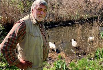Ein neues Zuhause für Hausgänse: Waldemar Martens hat die drei „Findelkinder“ in seinen Garten am Bürgerpark aufgenommen.