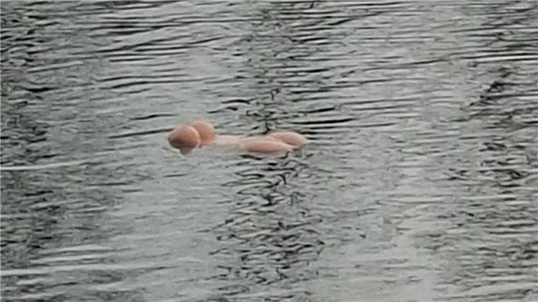 Ein Paar im Ruderboot, das zufällig vorbeikam, holte das Sexspielzeug aus dem Wasser.