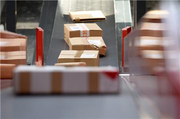Ein Paketbote ist am Samstag in Bremerhaven von einem Hund gebissen worden. 