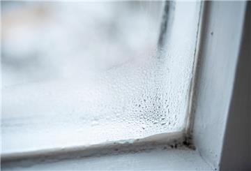 Schimmelpilzbildung am Fenster