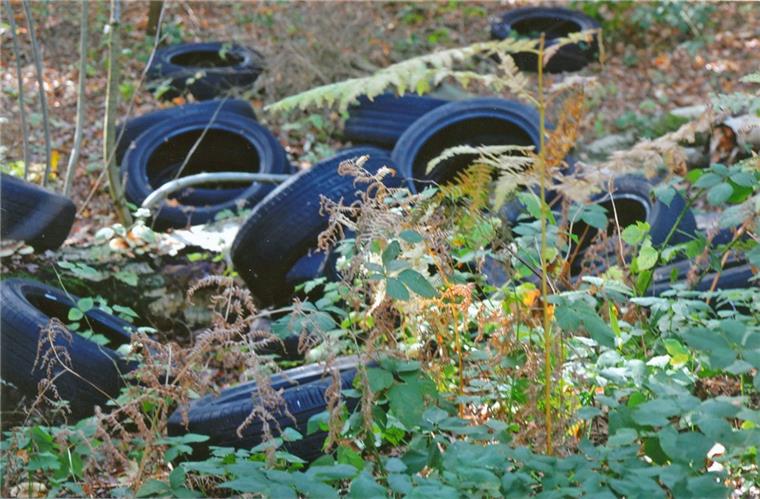 Ein Passant hat 36 Autoreifen verschiedener Größe entdeckt, die ein Umweltsünder einfach in der Natur abgeladen hat.