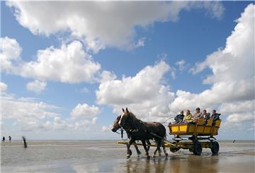 Ein Pferdewagen kehrt bei Niedrigwasser von einem Ausflug zur Nordseeinsel Neuwerk im Nationalpark Wattenmeer zurück.