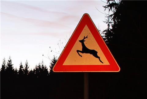 Ein Rehbock sorgte für Behinderungen auf der A27.