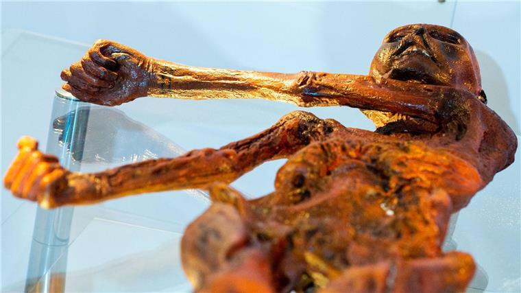 Sonderausstellung zu Gletschermumie Ötzi in Oldenburg öffnet Ein Replikat des 1991 in den Ötztaler Alpen entdeckten Steinzeitmenschen „Ötzi“.