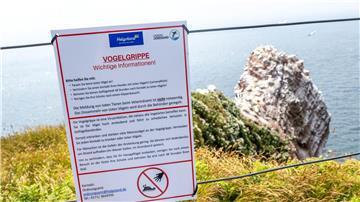 Ein Schild informiert über die Vogelgrippe auf der Hochseeinsel Helgoland.