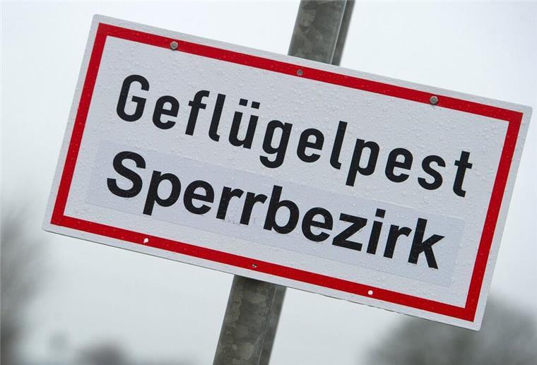 Ein Schild mit der Aufschrift „Geflügelpest Sperrbezirk“ (Archivbild).