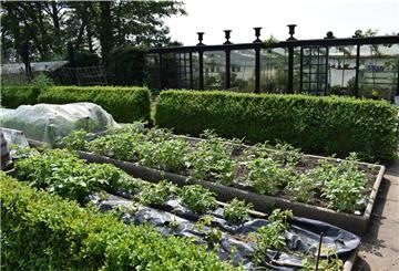 Ein selbst gebautes Gewächshaus, niedrige Hecken, um den Wind abzuhalten und umfasste Beete im Garten von Rolf-Walter Schwarze versorgen die Familie das ganze Jahr über mit Gemüse.