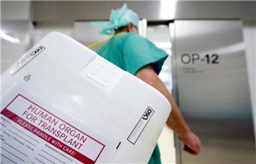 Ein Spenderorgan kann für einen kranken Menschen die Rettung bedeuten. 