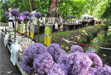Ein Stand mit blühenden Zwiebelpfanzen im Friedeburgpark.