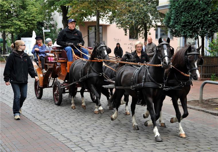 Das Goethe-Quartier feiert: Die besten Bilder vom Interkulturellen Straßenfest Ein Straßenfest in der Goethestraße wäre undenkbar ohne die beliebte alte Pferdekutsche.