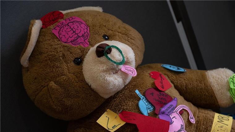 Ein Teddybär liegt im Teddybär-Krankenhaus am Uniklinikum Göttingen.