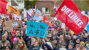Ein Teilnehmer der Demonstration gegen den AfD-Parteitag, der Kundgebung für Vielfalt und Menschenwürde, hält ein Schild mit der Aufschrift „No No AfD“, daneben eine Fahne von der Partei Die Linke.