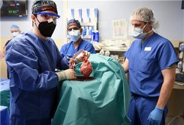 ARCHIV - 07.01.2022, USA, Baltimore: Ärzte operieren an einem Schweineherz, das in einen menschlichen Patienten eingesetzt wird. Ein Transplantationsteam in den USA hat nach eigenen Angaben erstmals ein genetisch modifiziertes Schweineherz an einen menschlichen Patienten angeschlossen. (zu dpa: «Schweine als Organspender - «eine große Hoffnung»») Foto: Tom Jemski/University of Maryland School of Medicine/dpa +++ dpa-Bildfunk +++