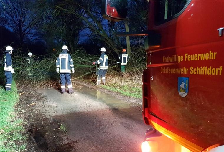 Ein umgestürzter Baum blockierte in Schiffdorf eine Straße.