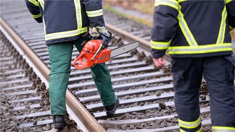 Ein umgestürzter Baum sorgte für Behinderungen auf der Bahnstrecke zwischen Norddeich Mole und Hannover. (Symbolbild)