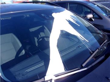 Ein unbekannter Täter hat in der Nacht zum Sonntag einen Volvo mit weißer Farbe beschmiert.