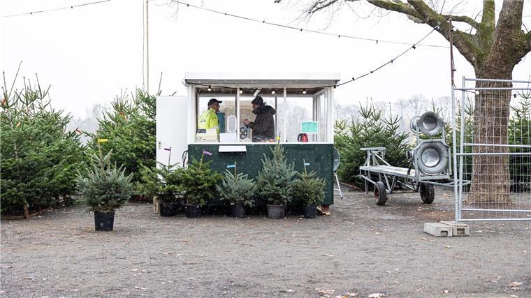 Weihnachtsbaumverkäufe laufen an: Nordmanntanne etwas teurer Ein Verkaufsstand für Weihnachtsbäume steht am Rudolf-von-Bennigsen-Ufer in Hannover.