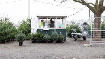 Ein Verkaufsstand für Weihnachtsbäume steht am Rudolf-von-Bennigsen-Ufer in Hannover.