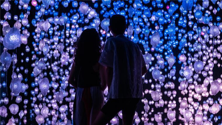 Pipilotti Rist verwandelt zwei Räume der Kunsthalle Bremen in einen Zauberwald