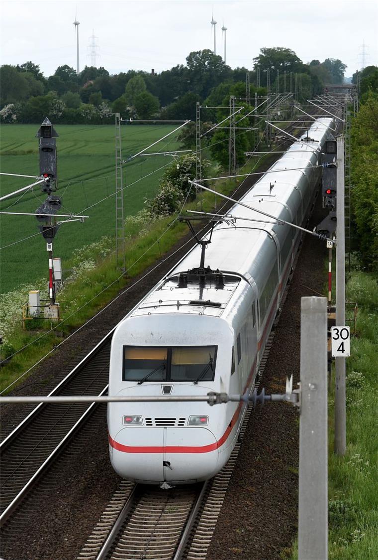 Ein Vogel hat einen IC-Zug gestoppt. Das Tier kollidierte mit dem Stromabnehmer der Lok.