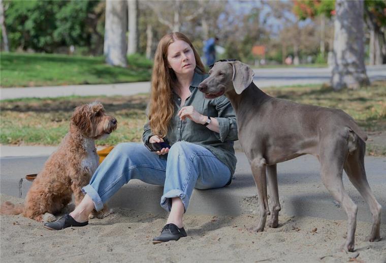 Mama mutiert! Wenn Eltern plötzlich auf allen Vieren leben und nichts mehr normal ist Eine Frau mit zwei Hunden. Ein Vorstadthund auf zwei Beinen – „Nightbitch“ mit Amy Adams in der Hauptrolle zeigt, wie Mutterschaft zur tierischen Grenzerfahrung zwischen Selbstaufgabe, Instinkt und Identität werden kann.