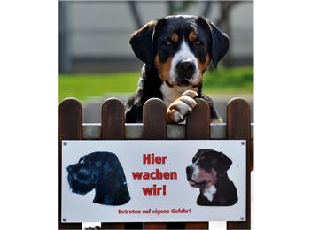 Ein Wachhund (Symbolfoto) hat in Hemmoor einen Einbruch verhindert.