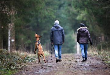 Waldspaziergänger mit Hund
