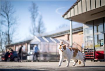Ein weiß-roter Kater legt sich täglich in den Eingangsbereich eines Geschäftes in Oldenburg. Die Beschäftigten des Marktes nennen ihn Checker.