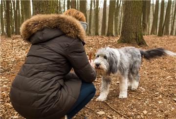 Frau mit Hund im Wald