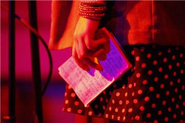 Eine Autorin hält bei einem Poetry Slam ihre Notizen in der Hand. Am 24. Juni werden Dichter in Tarmstedt versuchen, das Publikum mit guten Texten und mitreißender Performance für sich einzunehmen.
