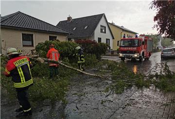 Eine Birke blockierte die Straße.