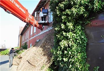 Eine Dachdeckerfirma aus Bremen hat damit begonnen, den Efeu von der Fassade des Nordenhamer Bahnhofs zu reißen.