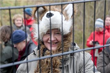 Eine Demonstratin gegen den Wildschweinzaun mit einer Wolfsmütze auf dem Kopf steht am Zaun nahe der deutsch-dänischen Grenze.