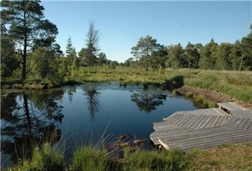 Tister Bauernmoor.