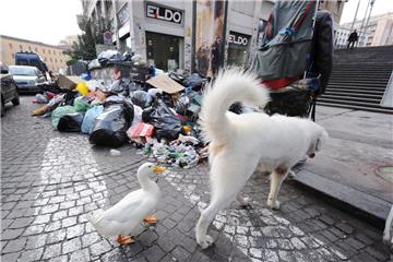 Eine DNA-Datenbank für Hunde: Wenn darin alle ortsansässigen Hunde registriert sind, könnte der Häufchensünder mit gerichtsmedizinischer Präzision ermittelt werden. Ein europäischer Vorreiter dieser Idee ist Neapel.