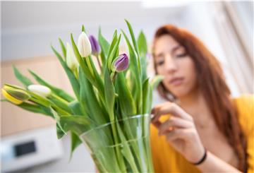 Eine durchsichtige Vase ist für einen Tulpenstrauß sinnvoll: So sieht man, wenn das Wasser sich eintrübt und gewechselt werden muss.