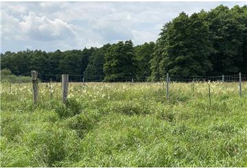 Eine brach liegende Wiese an der Wümme