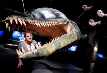 Eine Frau betrachtet ein lebensgroßes Modell eines Liopleurodons in der neuen Erlebnisausstellung „Saurier - Giganten der Meere“ im Aquarium Wilhelmshaven. 