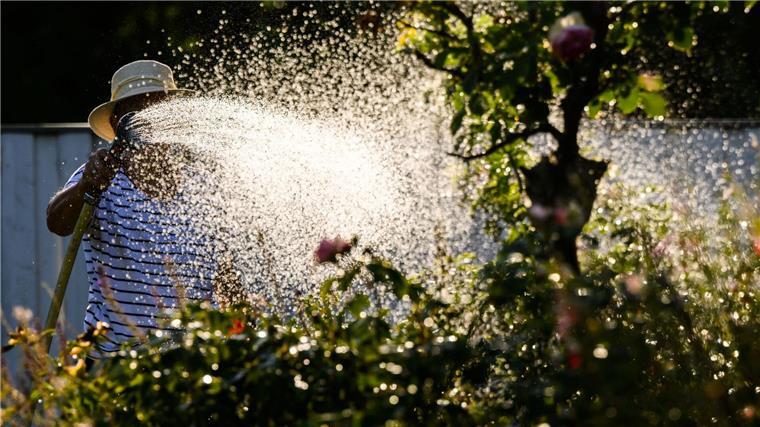 Eine Frau gießt mit Wasser aus einer Grundwasserpumpe ein Blumenbeet.