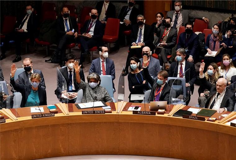 Eine gegen Russlands Einmarsch in die Ukraine gerichtete Resolution war im UN-Sicherheitsrat gescheitert. Zu denen, die sich bei der Abstimmung enthalten hatten, gehörten auch die Emirate. Wird das jetzt zum Nachteil für das Unternehmen aus Abu Dhabi, das die Lloyd Werft kaufen will?
