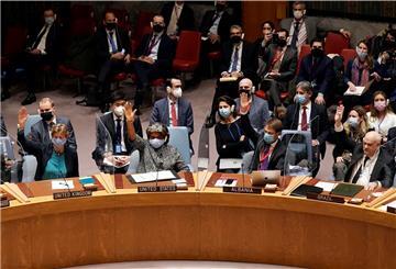 Eine gegen Russlands Einmarsch in die Ukraine gerichtete Resolution war im UN-Sicherheitsrat gescheitert. Zu denen, die sich bei der Abstimmung enthalten hatten, gehörten auch die Emirate. Wird das jetzt zum Nachteil für das Unternehmen aus Abu Dhabi, das die Lloyd Werft kaufen will?